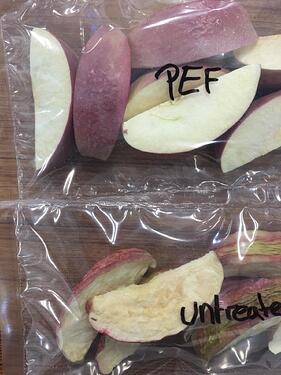 Freeze drying is the best technology for drying