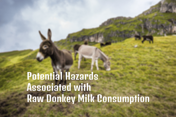 Potential Hazards Associated with Raw Donkey Milk Consumption