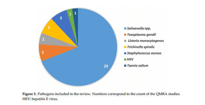 Critical Analysis of Pork QMRA Focusing on Slaughterhouses